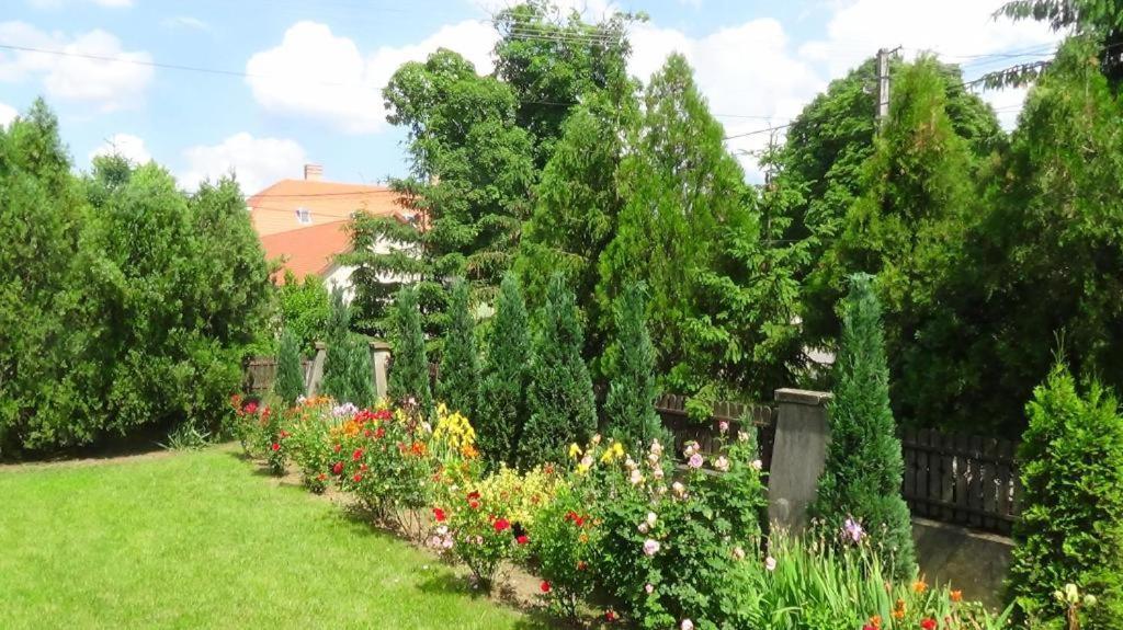 Rózsakert Vendégház Romhány Kültér fotó